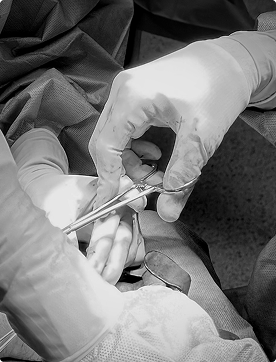 Burn Care & Trauma Reconstruction
